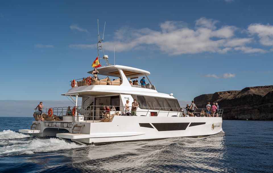 Gran Canaria: Afternoon Catamaran Cruise with Food & Drink - Getting There: Pickup Areas and the Harbor Meet-Up