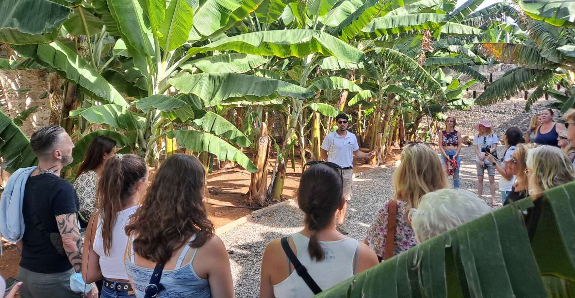 Gran Canaria: Banana World Guided Tour & Tasting - Banana World Key Highlights