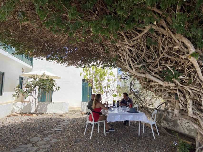 Gran Canaria: Best Wineries and Views Tour - Getting There: South Pickup, Roundtrip Transfers, and Real Convenience