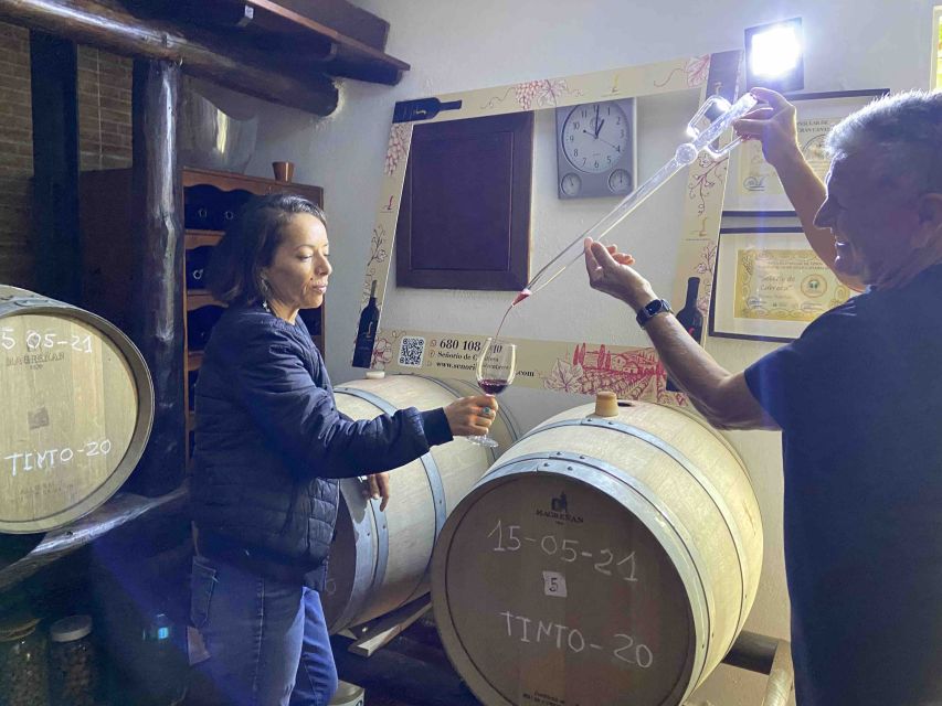 Gran Canaria: Best Wineries and Views Tour - The Guide Makes or Breaks It: English/Spanish, Stories, and Group Energy