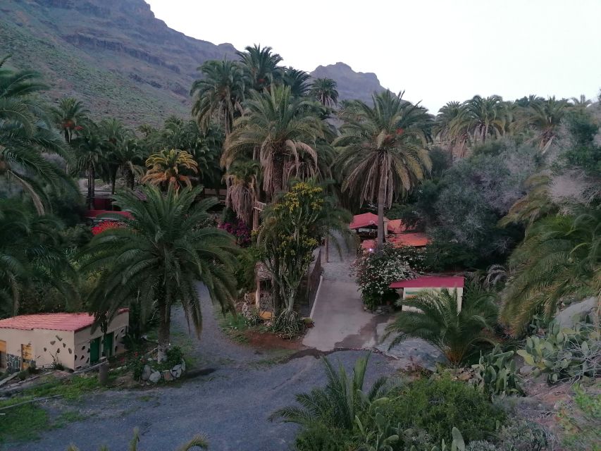 Gran Canaria: Camel Ride at Camel Safari Park - Camel Safari Park in Maspalomas: what the 30 minutes really feels like