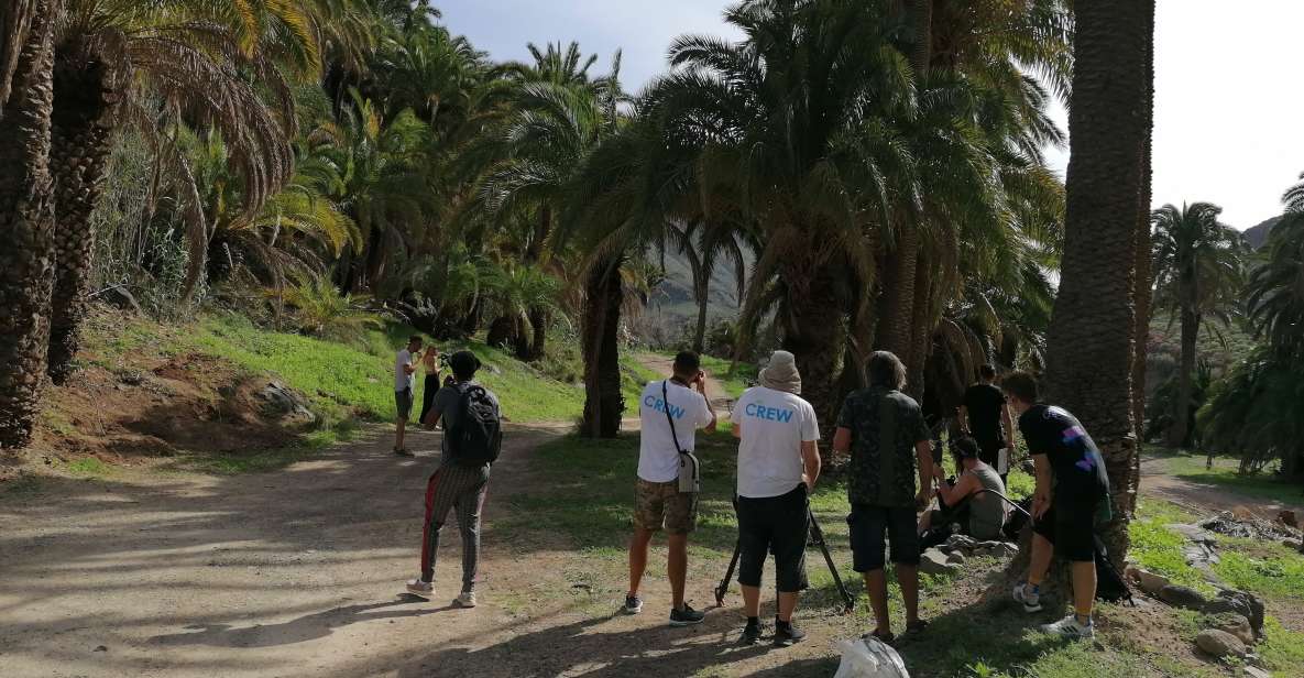 Gran Canaria: Camel Ride at Camel Safari Park - What’s included on-site: animals, feeding, and the tropical garden stroll