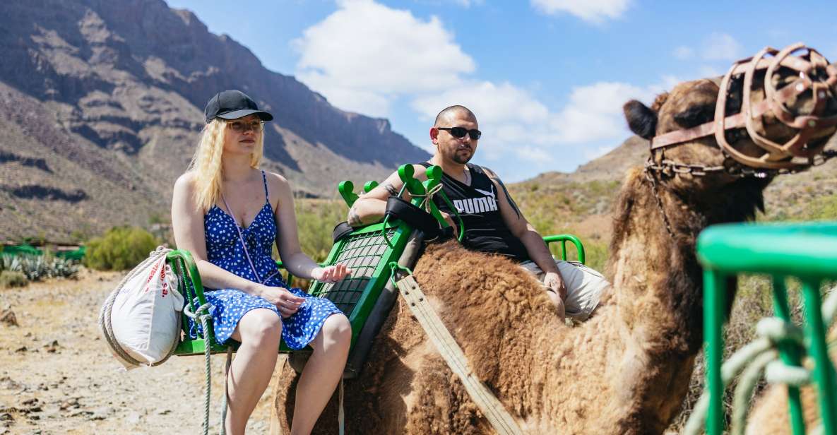 Gran Canaria: Camel Ride Safari w/ Optional Food & Transport - Key highlights that make this safari worth your time