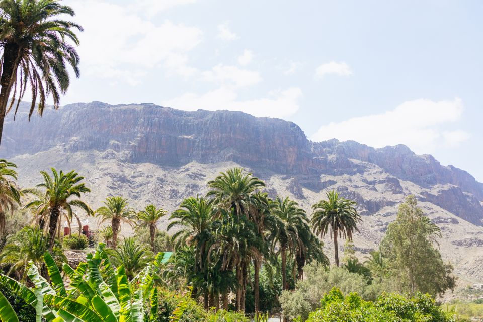 Gran Canaria: Camel Ride Safari w/ Optional Food & Transport - La Baranda: meeting the camels and settling into the rhythm