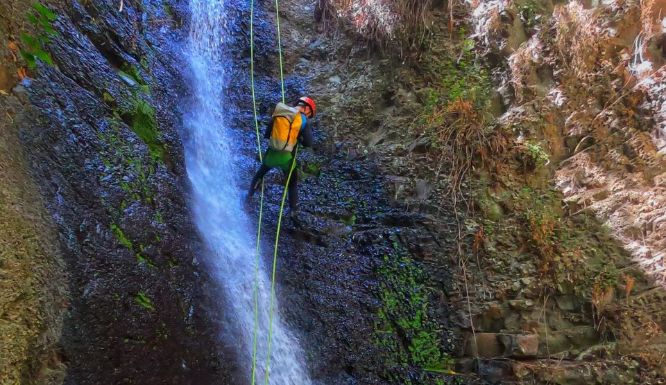 Gran Canaria: Canyoning Trip - Key reasons this canyoning trip works so well
