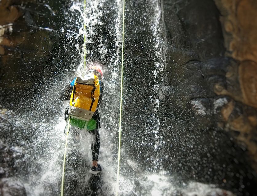 Gran Canaria: Canyoning Trip - Value check: why $77 can make sense for Gran Canaria canyoning