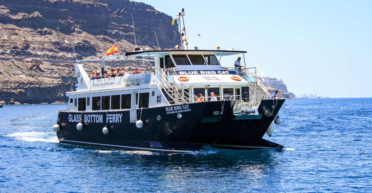 Gran Canaria: Catamaran Dolphin Watch Cruise with Snorkeling - Getting to Puerto Base Without Making Your Day Complicated