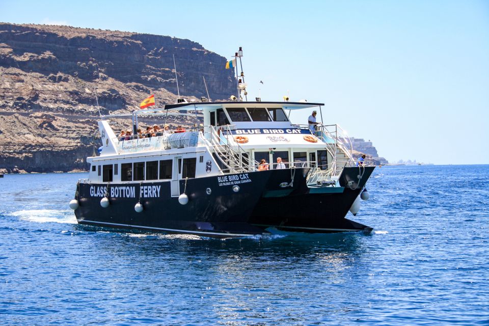 Gran Canaria: Catamaran Dolphin Watch Cruise with Snorkeling - Dolphin and Whale Watching: Why the Search Time Feels Worth It