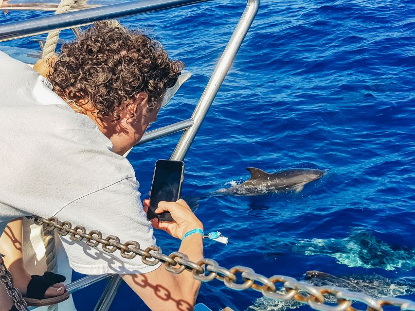 Gran Canaria: Catamaran Dolphin Watch Cruise with Snorkeling - Drinks, Onboard Extras, and How Much This Really Costs