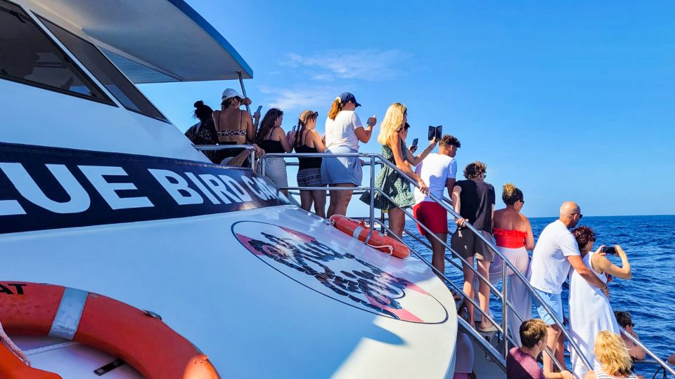 Gran Canaria: Catamaran Dolphin Watch Cruise with Snorkeling - Price and Logistics: Is $44 Actually Good Value?