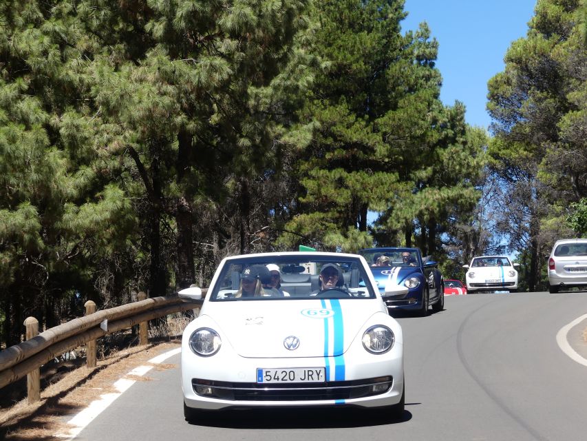 Gran Canaria: Convertible Beetle Tour - Key things to know before you go