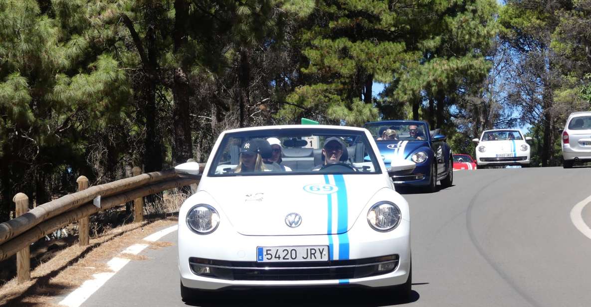 Gran Canaria: Convertible Beetle Tour - Why a convertible Beetle feels perfect on Gran Canaria