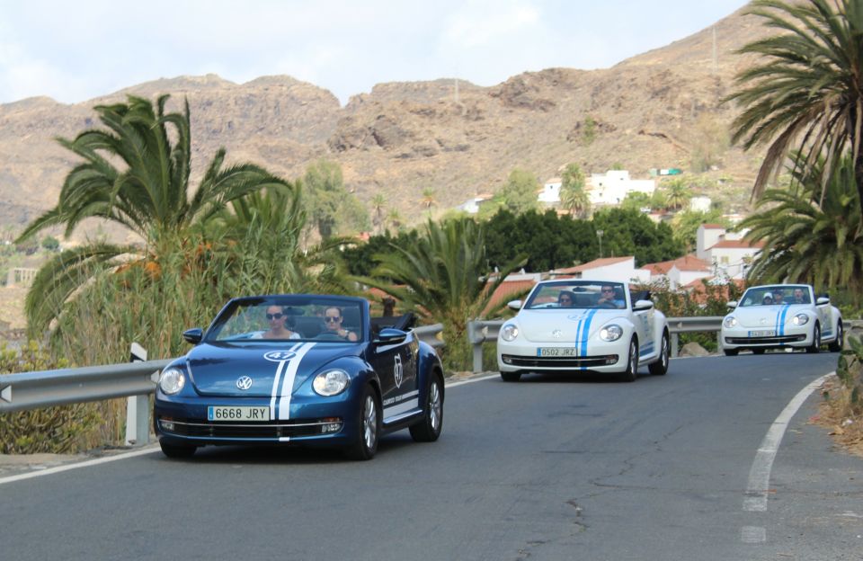 Gran Canaria: Convertible Beetle Tour - Food stops that actually matter on a road trip