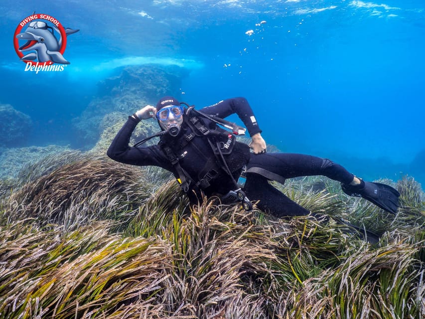 Gran Canaria: Discover Scuba Diving Beginner Program - Mogán start: why this half-day feels beginner-friendly