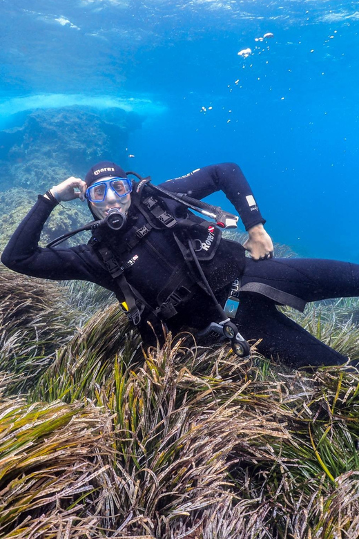 Gran Canaria: Discover Scuba Diving Beginner Program - Should you book this Gran Canaria beginner program?