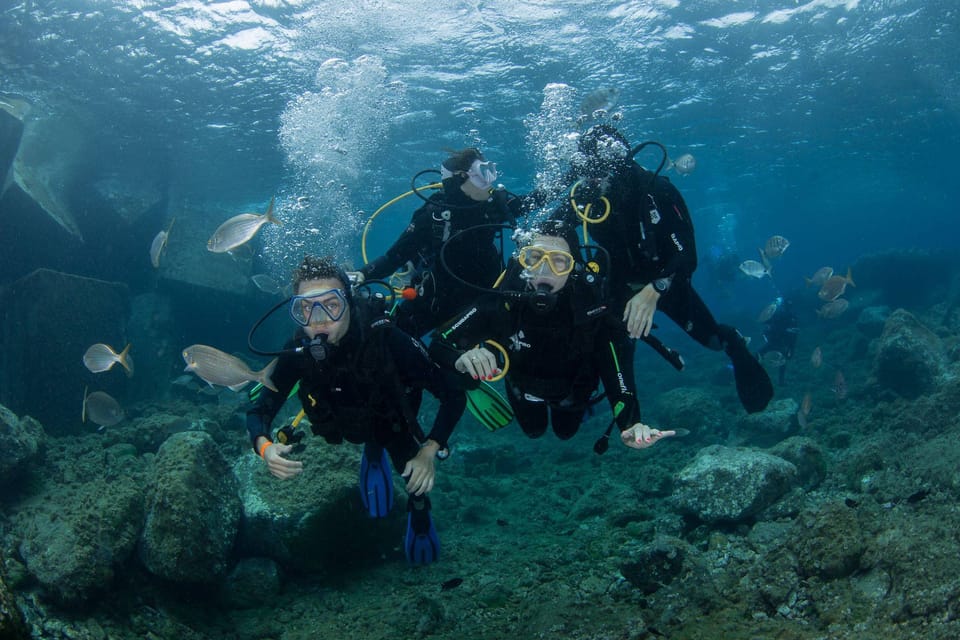 Gran Canaria: Discover Scuba Diving Beginner Program - Equipment setup and shallow-water skills (where safety becomes real)