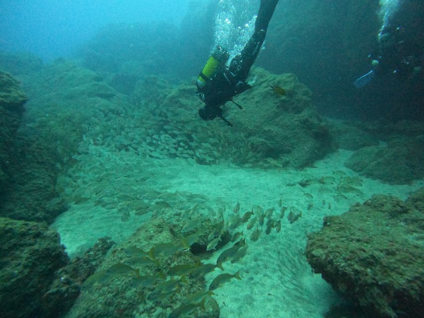 Gran Canaria: Discover Scuba Diving - Free Transfers - Key things I’d bank on before you go