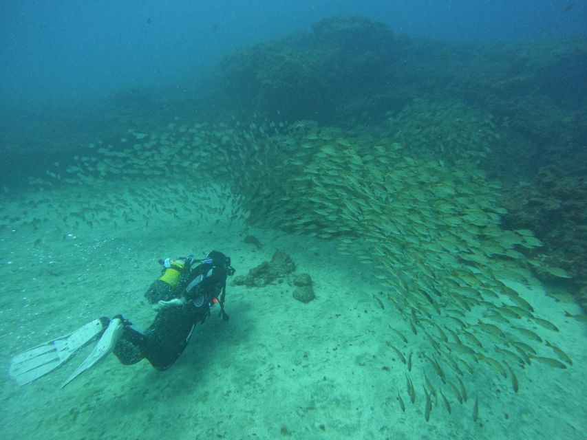 Gran Canaria: Discover Scuba Diving - Free Transfers - Gear check, coffee, and the safety briefing that saves your nerves