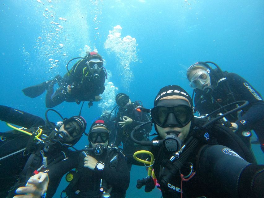 Gran Canaria: Discover Scuba Diving - Free Transfers - Marine life you might see: angels, rays, octopus, and friends
