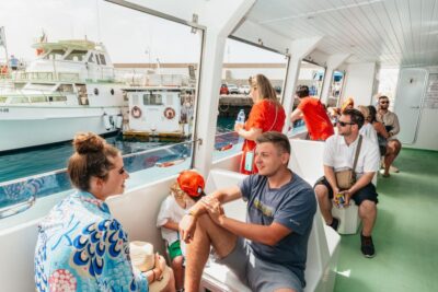 Gran Canaria: Dolphin and Whale Watching Cruise - Getting There: Pickup From the South and How the Day Actually Feels