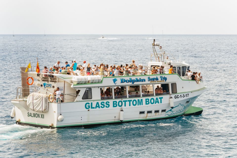 Gran Canaria: Dolphin and Whale Watching Cruise - Wind, Chilly Spray, and Sea-Sickness Reality Check