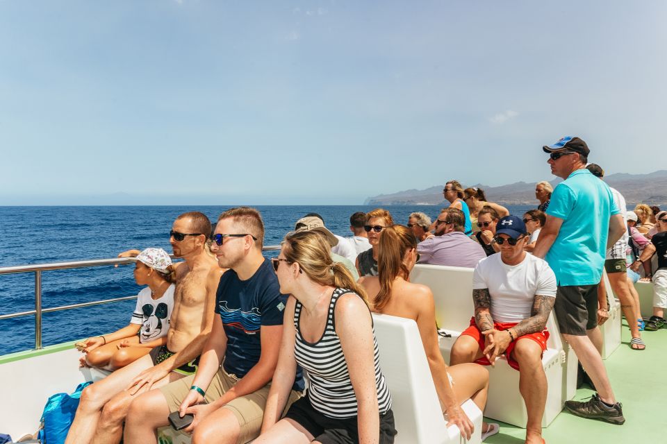 Gran Canaria: Dolphin and Whale Watching Cruise - Who this cruise fits best (and who should skip it)