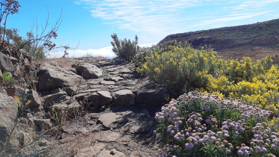 Gran Canaria: Full-Day Guided Hiking With Snacks - Key takeaways before you book