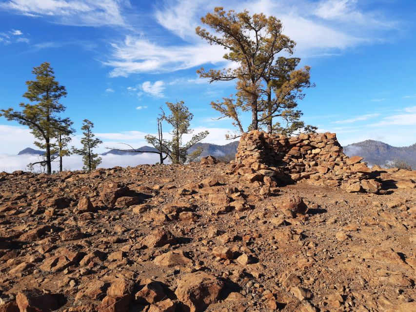 Gran Canaria: Full-Day Guided Hiking With Snacks - Trail profile: 7–10 km and 300–550 m of climbing