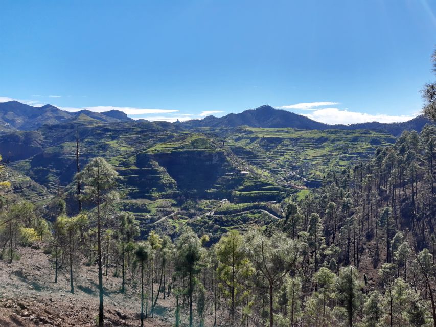 Gran Canaria: Full-Day Guided Hiking With Snacks - The hike itself: pacing, safety, and short nature stops