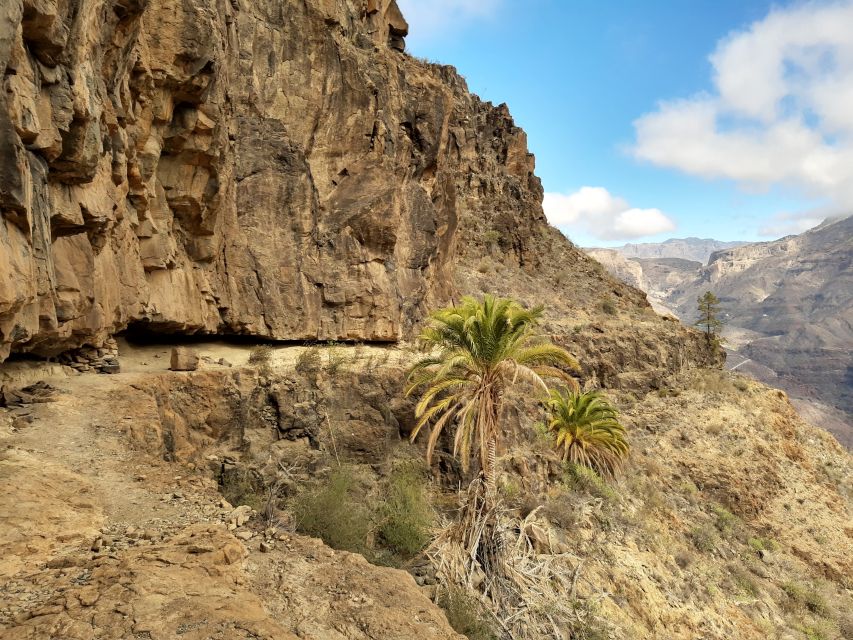 Gran Canaria: Full-Day Guided Hiking With Snacks - The small-group advantage on steep, varied terrain
