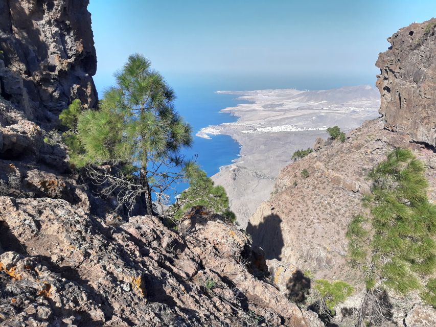 Gran Canaria: Full-Day Guided Hiking With Snacks - UIMLA guide and multilingual operation: how the day is run