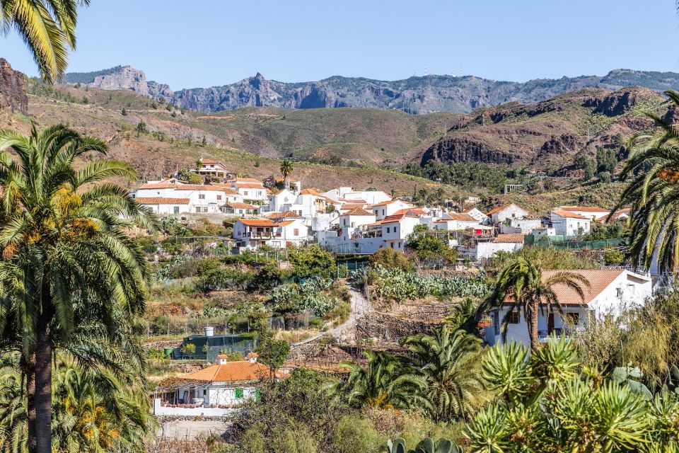 Gran Canaria: Full-Day VIP Tour by Bus - Price and value: is $58 a good deal for 9 hours?