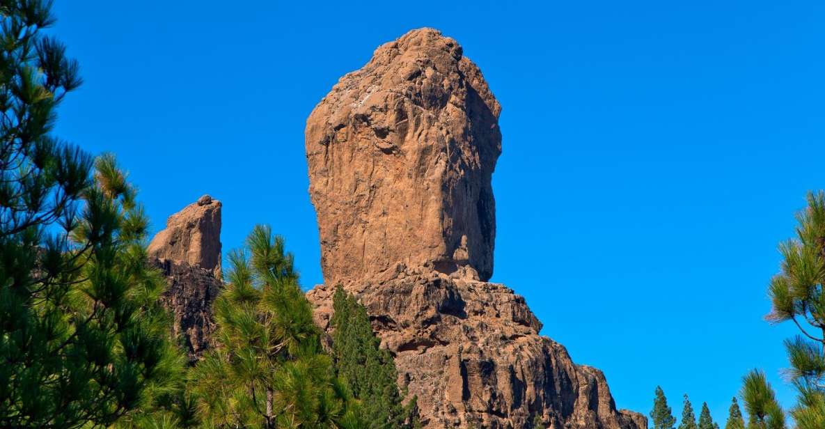 Gran Canaria: Full-Day VIP Tour by Bus - Fataga and the Valley of a Thousand Palm Trees finish
