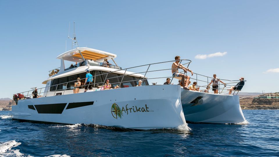 Gran Canaria: Fun Catamaran Cruise with Food and Drinks - Why this Afrikat catamaran cruise fits Gran Canaria