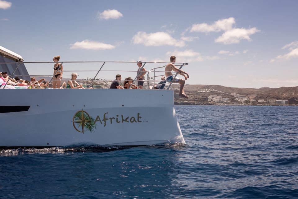Gran Canaria: Fun Catamaran Cruise with Food and Drinks - Value check: is an $88-per-person catamaran cruise a good deal?