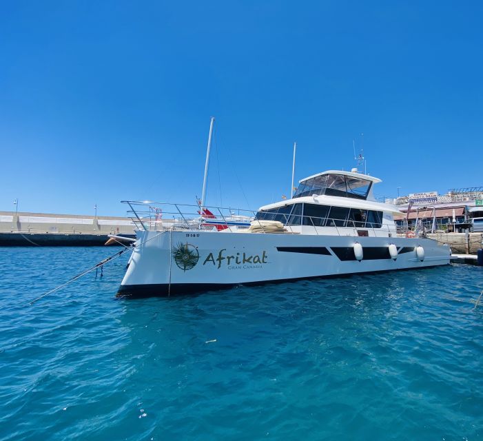 Gran Canaria: Fun Catamaran Cruise with Food and Drinks - Should you book Afrikat’s Gran Canaria fun catamaran?