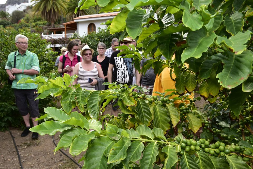 Gran Canaria: Grand Island Tour by Bus with Transfers - Las Palmas: Las Arenas shopping area and a coast-city finish