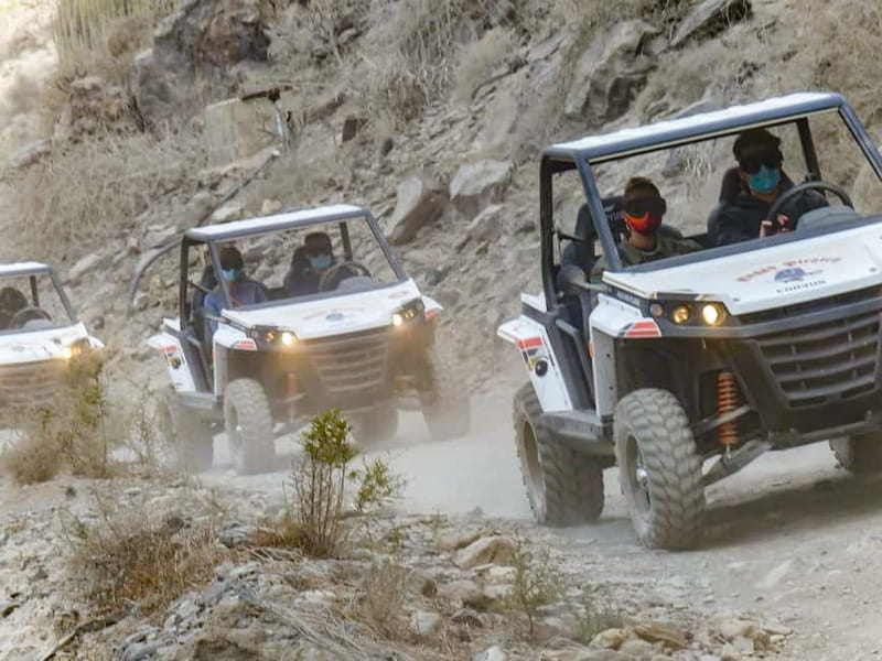 Gran Canaria Guided Buggy Tour - Key things to know before you go
