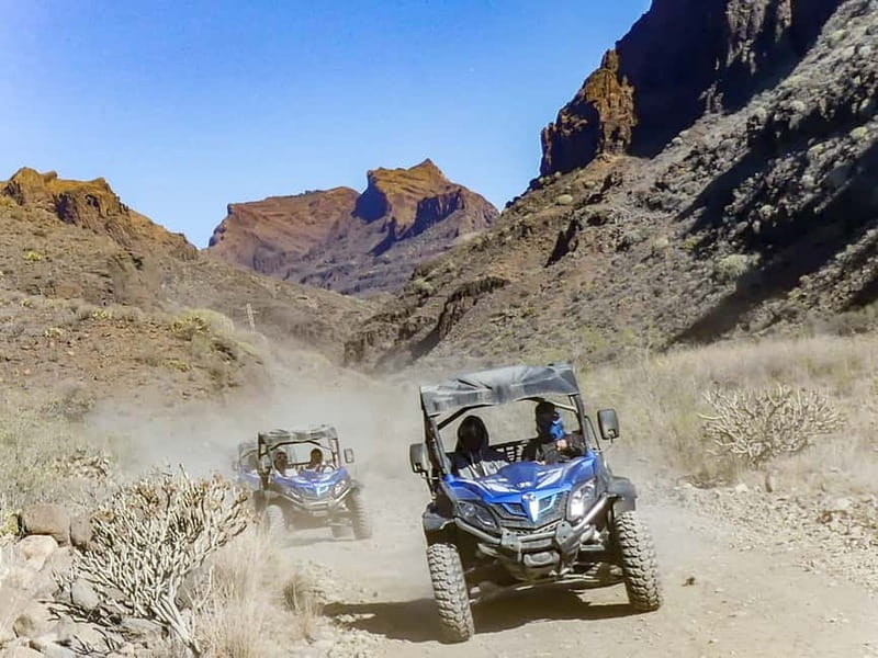 Gran Canaria Guided Buggy Tour - Guides, cameras, and the photo-video machine