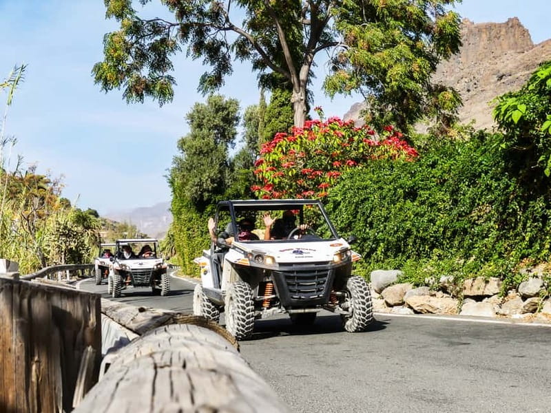 Gran Canaria Guided Buggy Tour - Who this buggy tour suits best