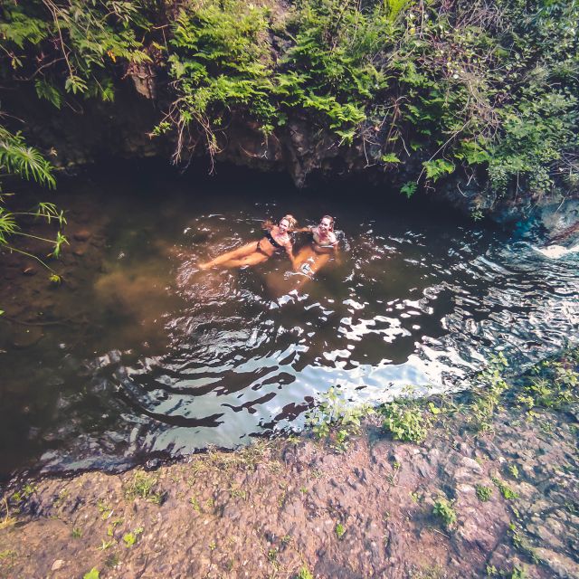 Gran Canaria: Guided Day Tour to Rainforest with Tasting - Who should book this rainforest tour on Gran Canaria?