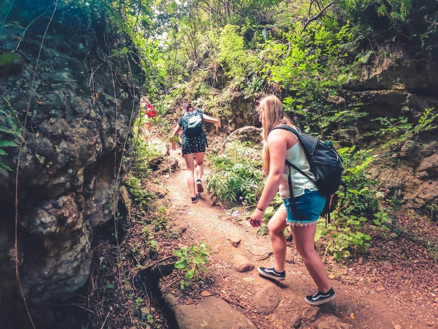 Gran Canaria: Guided Day Tour to Rainforest with Tasting - How the day starts: pickup, timing, and why it matters