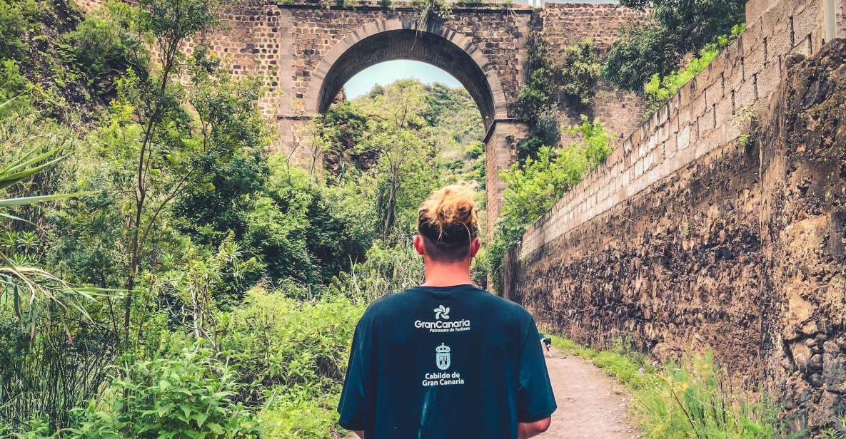 Gran Canaria: Guided Day Tour to Rainforest with Tasting - Azuaje ravine and Doramas forest hike: what the walking actually feels like