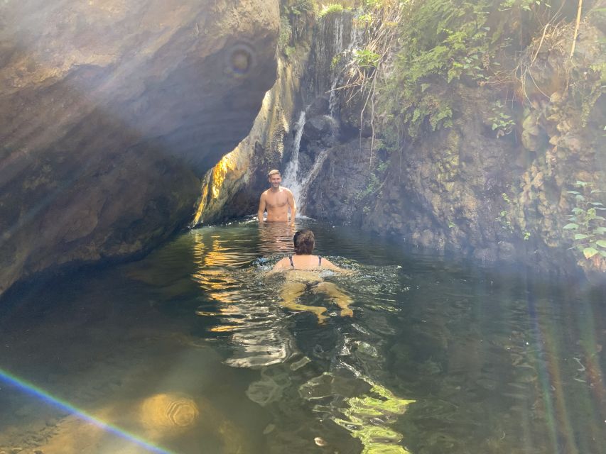 Gran Canaria: Guided Day Tour to Rainforest with Tasting - Price and group size: is $105 good value?