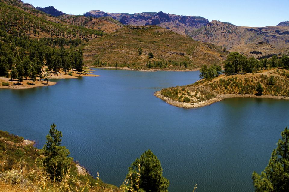 Gran Canaria Highlights Full-Day Tour by Bus - Quick Hits: What Makes This Tour Worth Your Time