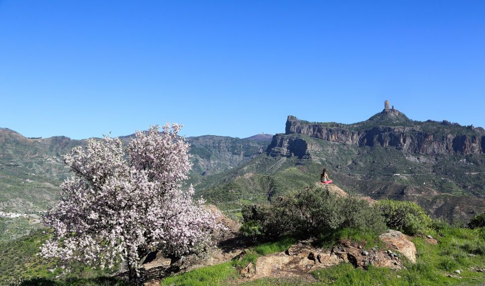 Gran Canaria Highlights Full-Day Tour by Bus - The Bus Ride: Narrow Roads, Best Photos, and How to Stay Comfortable
