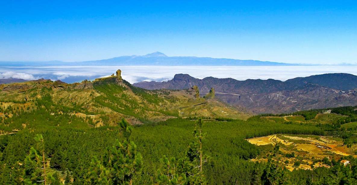 Gran Canaria Highlights Full-Day Tour by Bus - Why This Gran Canaria Bus Loop Feels Like Two Different Islands