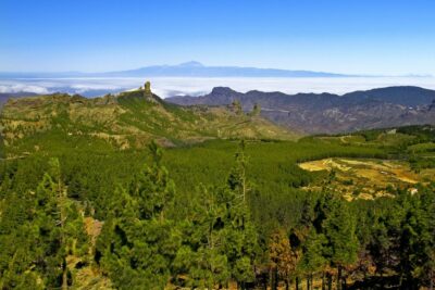 Gran Canaria Highlights Full-Day Tour by Bus - Pickup Reality Check: Parque Tropical Is Your Only Starting Point