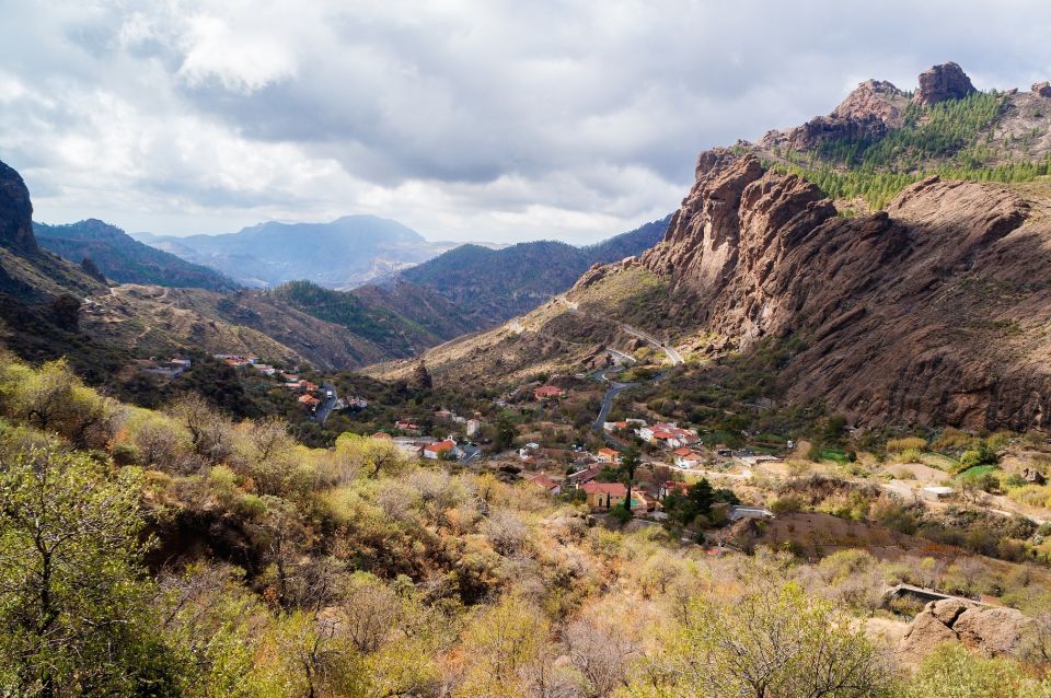 Gran Canaria Highlights Full-Day Tour by Bus - Finca Canarias Aloe Vera: Product Stop, Practical Break, and Quick Shopping Time