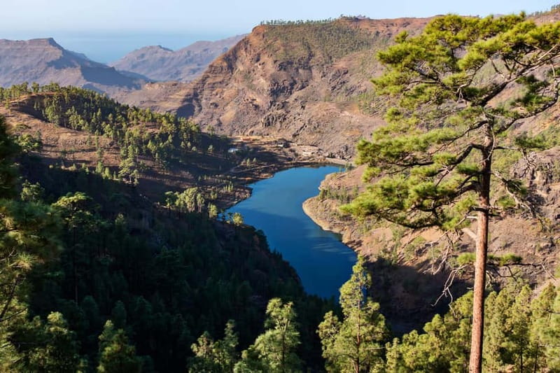 Gran Canaria: Island Highlights Tour with Optional Lunch - Key Points at a Glance